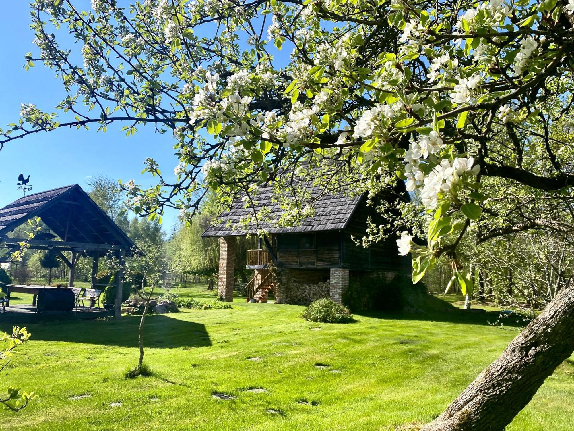 Villa Griki Kalniski Esterno foto