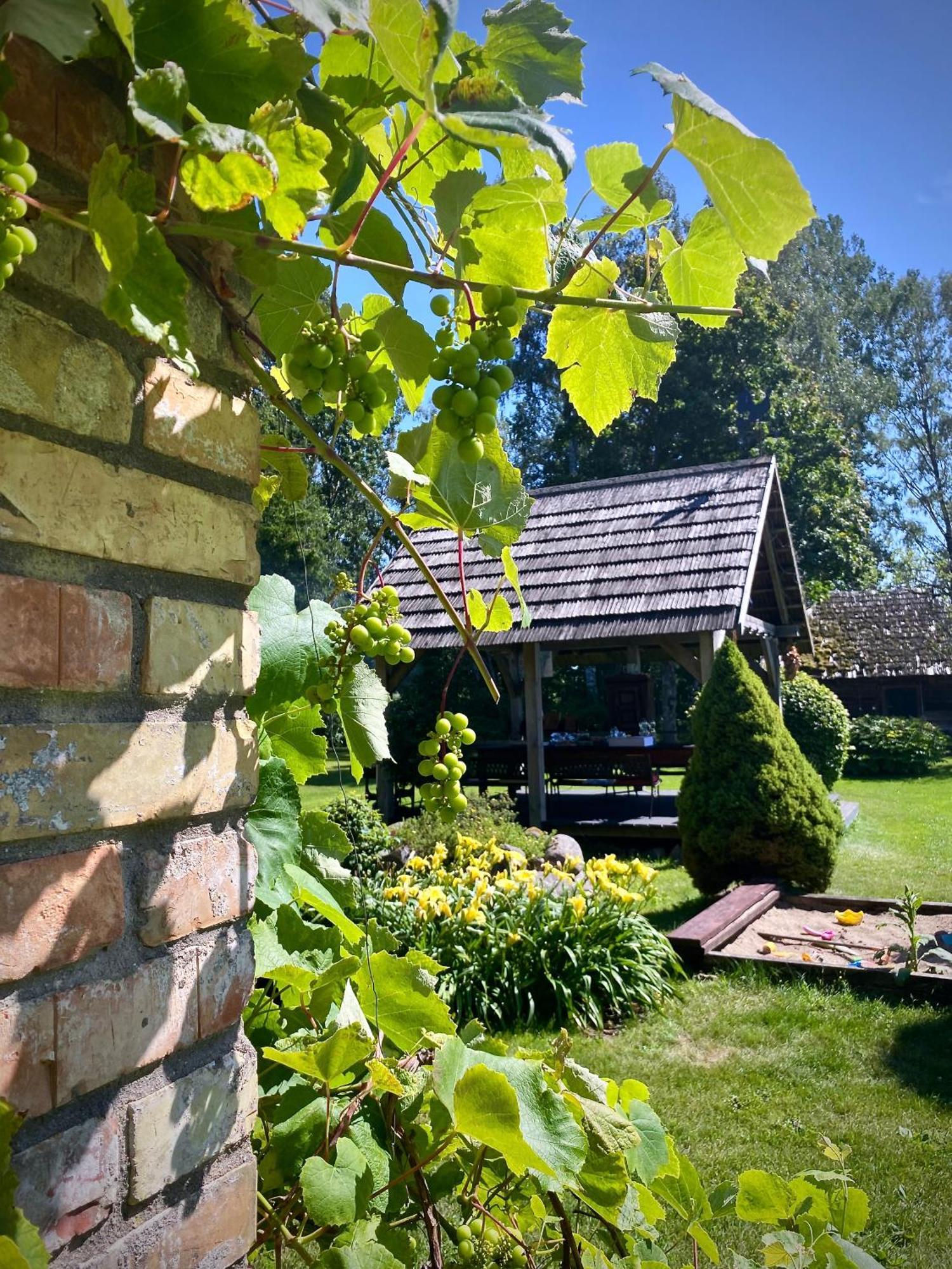 Villa Griki Kalniski Esterno foto